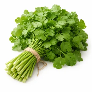 Coriandre
