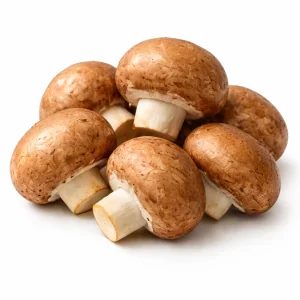 Champignons