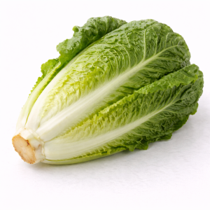 Salade romaine