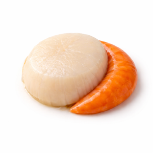 Noix de Saint-Jacques