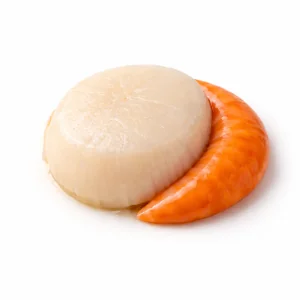 Noix de Saint-Jacques